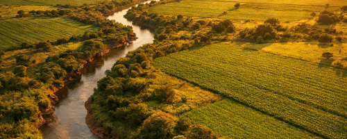 Why Africa’s Arable Land is the World’s Most Undervalued Investment Asset